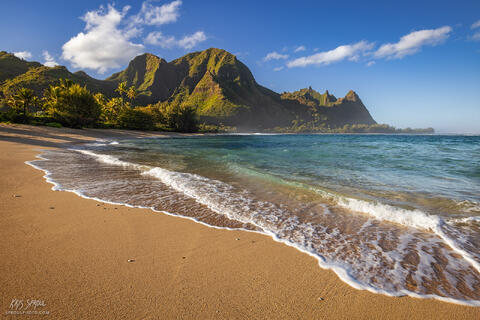Aloha Kai